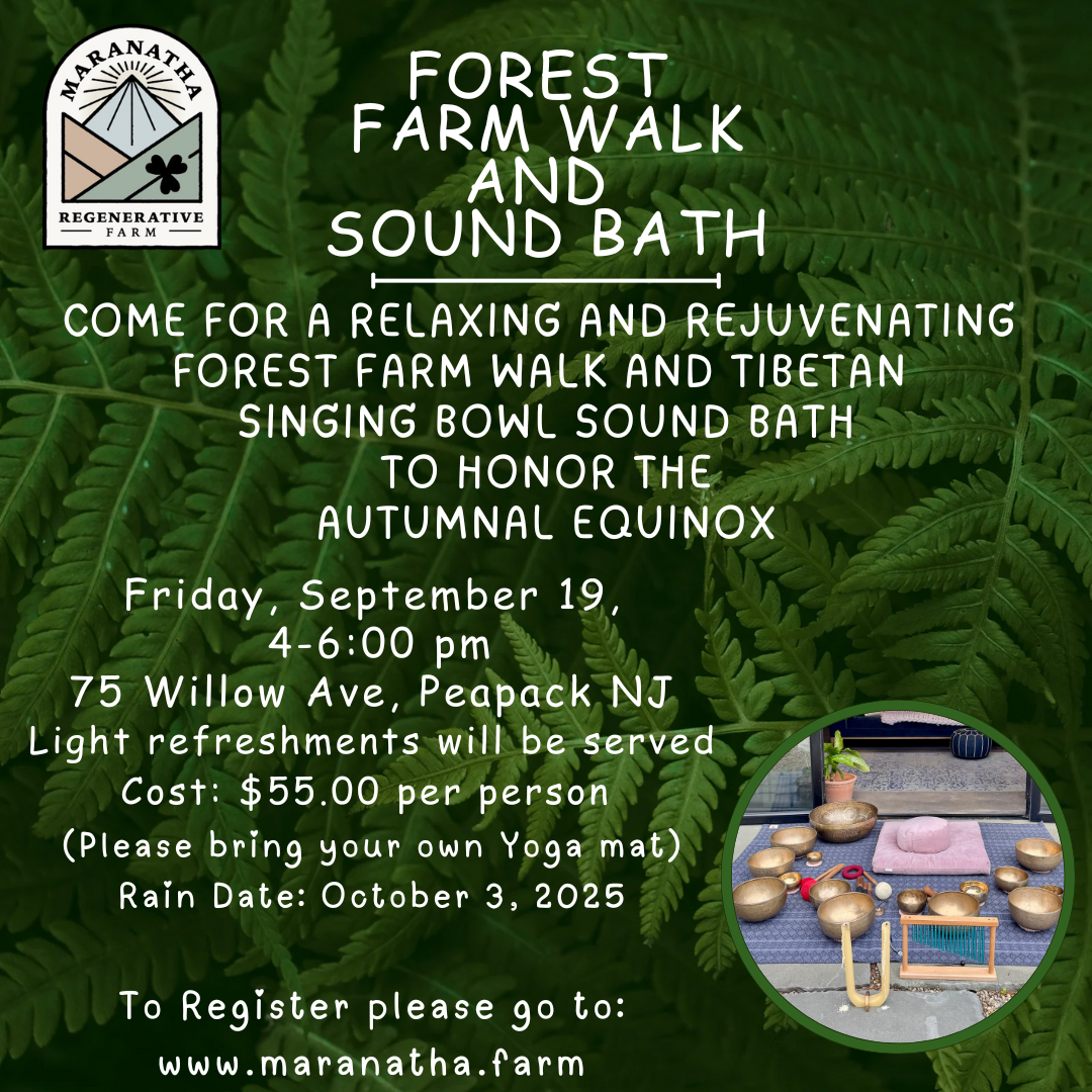 Forest Farm Walk and Sound Bath Event