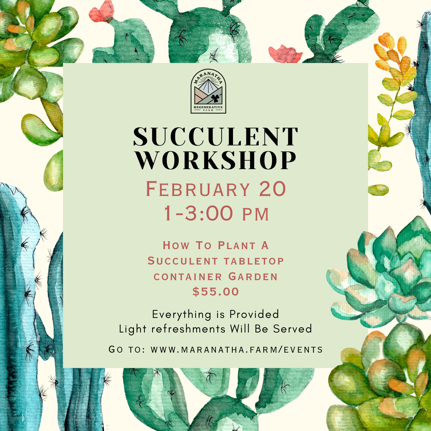 Succulent Tabletop Container Garden Workshop