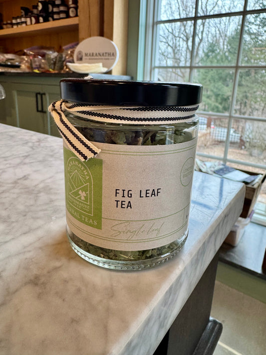 Single Leaf Fig Tea