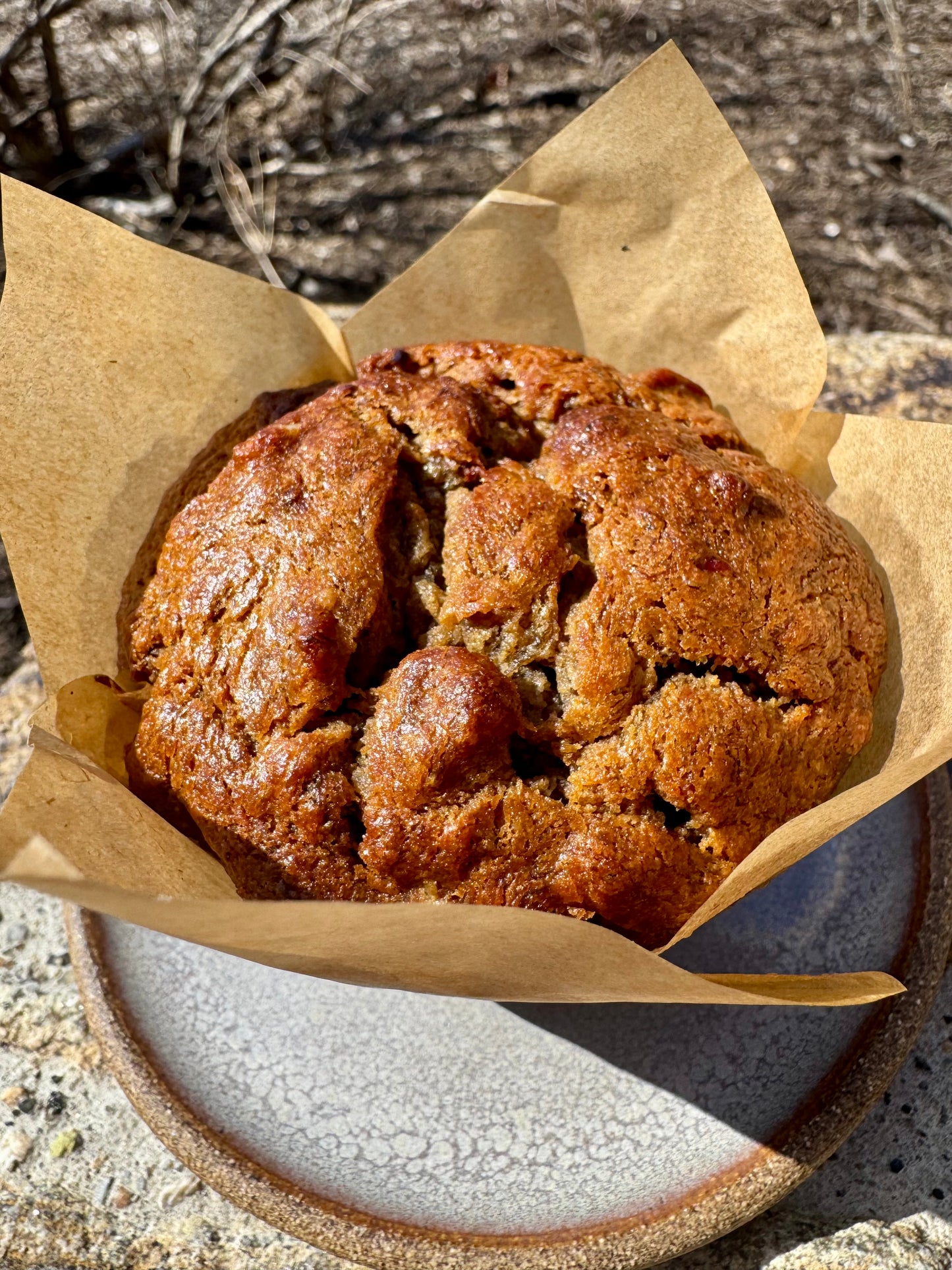 Gluten Free Flourless Peanut Butter Banana Pecan Muffin