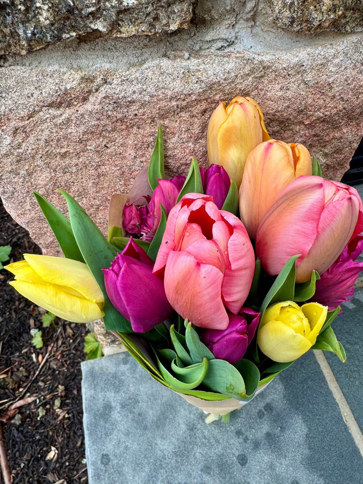 Tulip Bouquet-Large