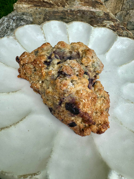 Scone- Blueberry Ginger