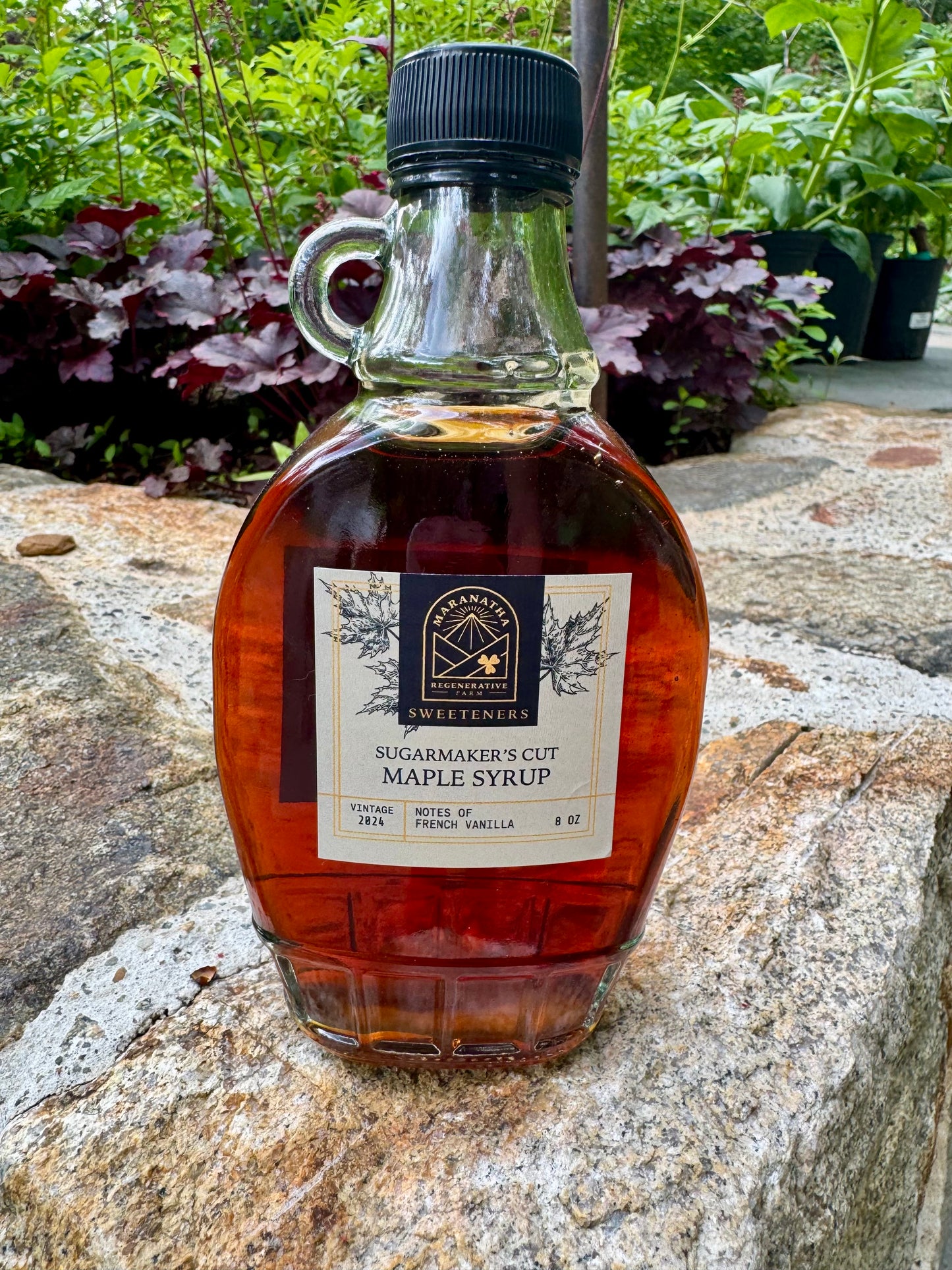 Maple Syrup