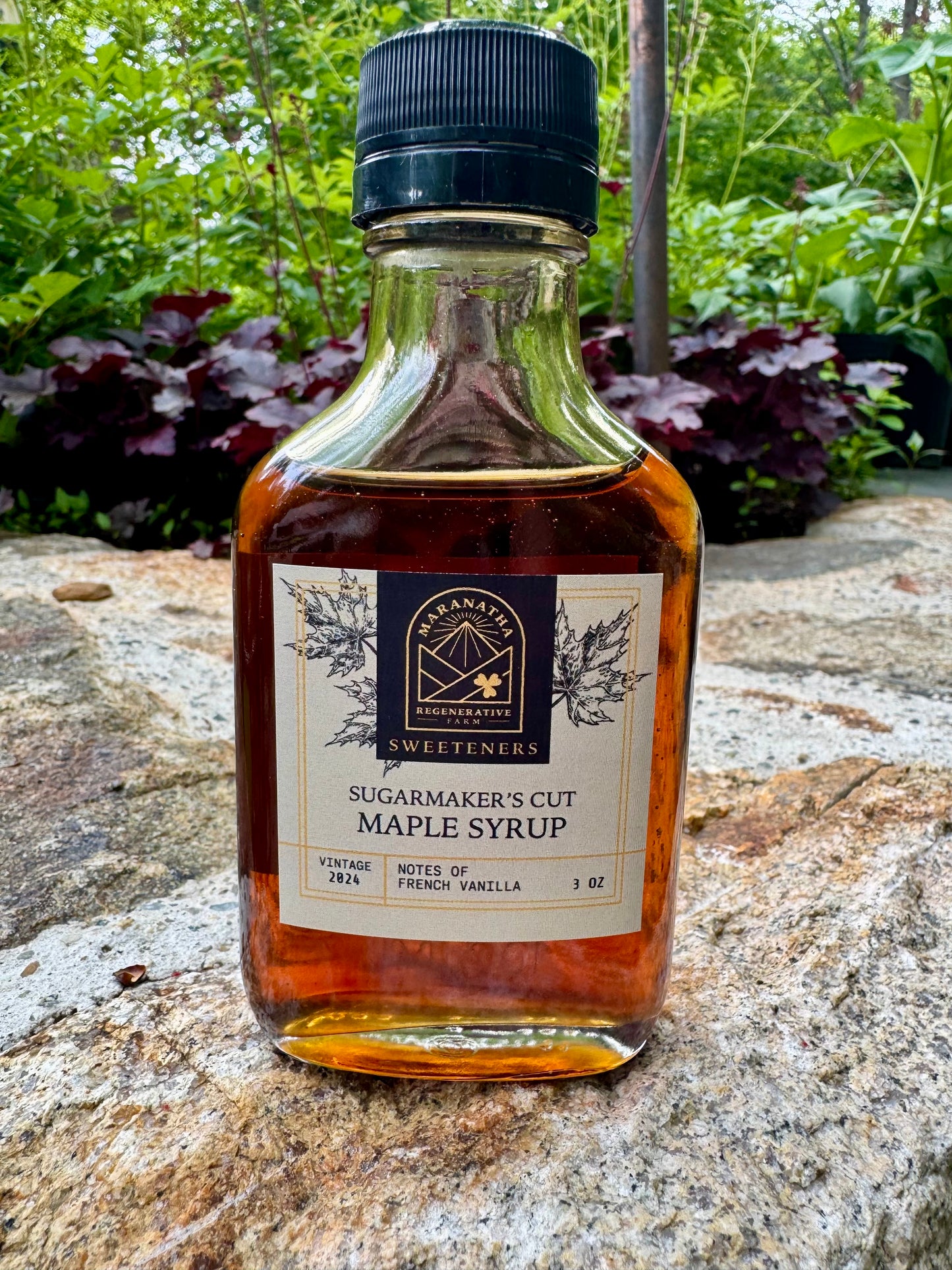 Maple Syrup