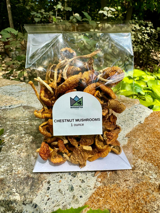 Dried Chestnut Mushrooms