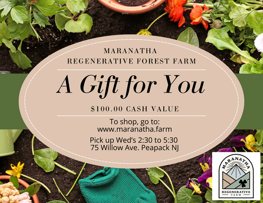 Maranatha Gift Card-$100.00