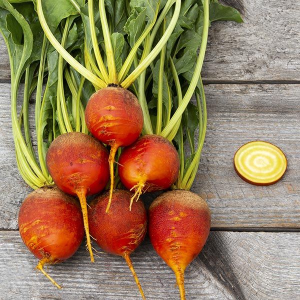 Touchstone Gold Beets