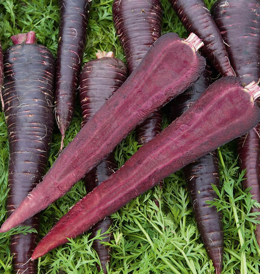 Baby Purple Carrots