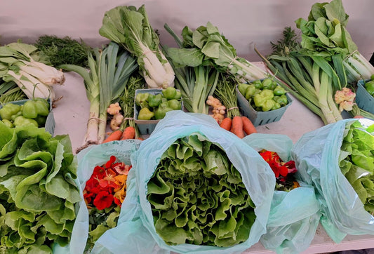 Weekly CSA Share