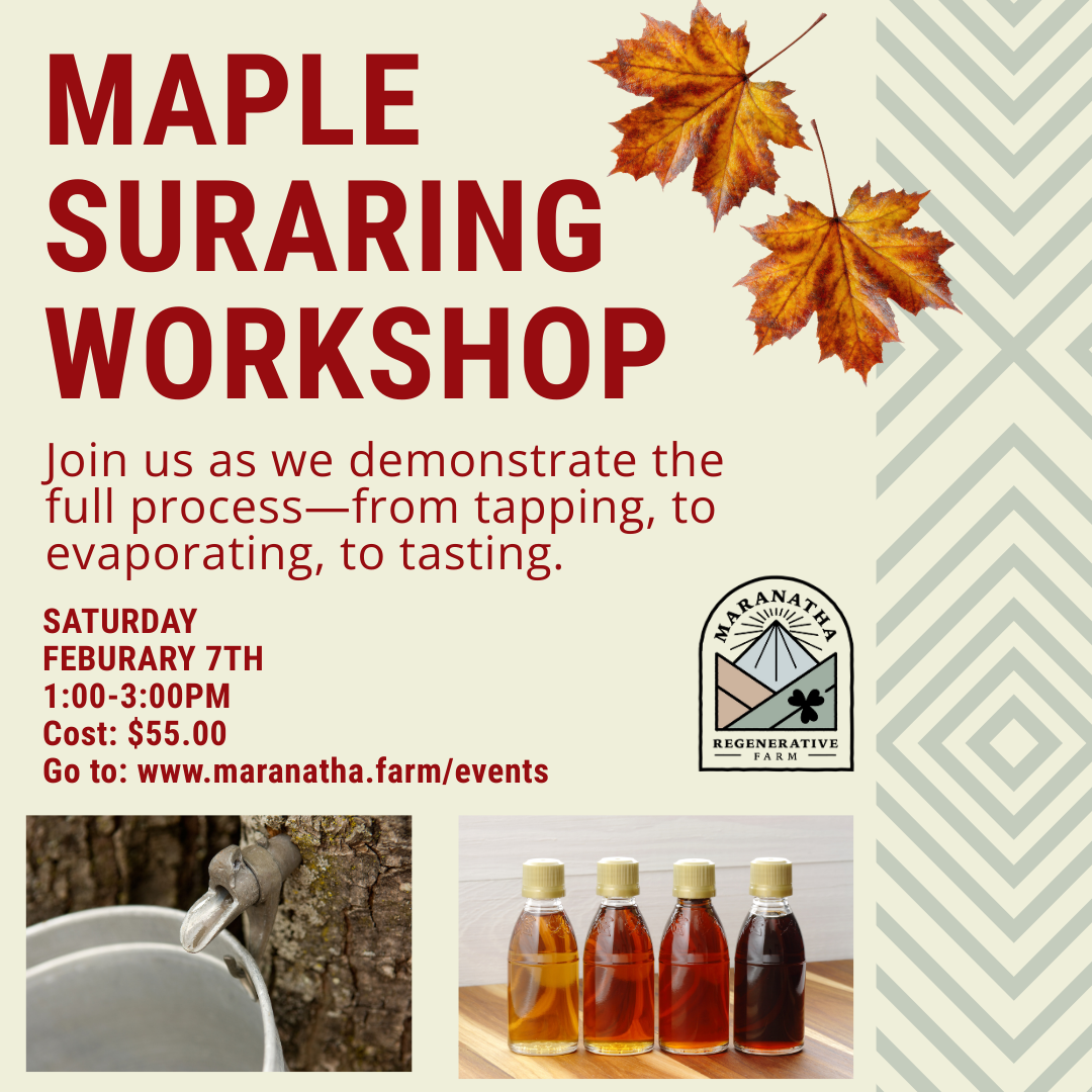 Maple Sugaring Workshop