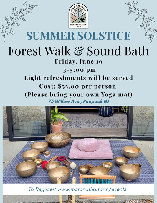 Summer Solstice Forest Walk and Sound Bath