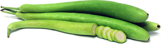 Cucuzza Squash