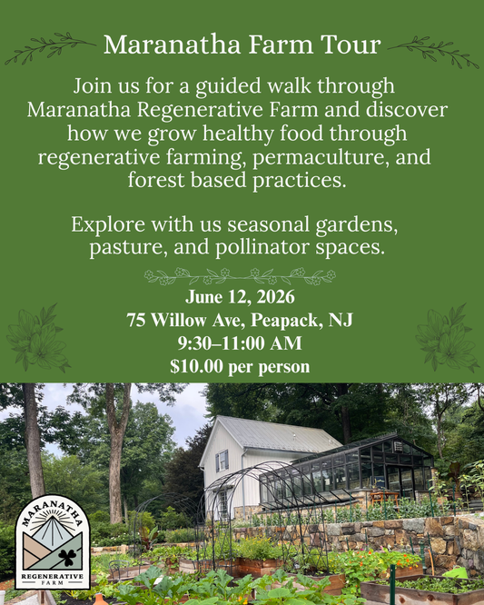 Maranatha Regenerative Farm Tour