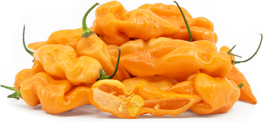 Habanada Sweet Pepper