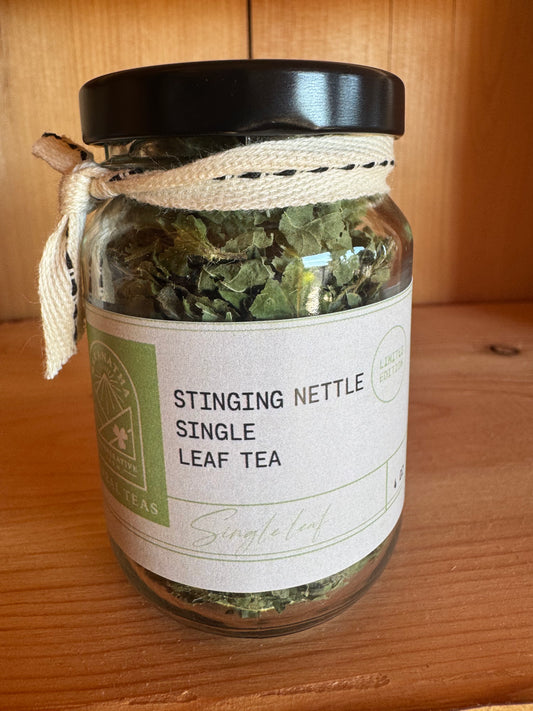 Single Leaf Stinging Nettle Tea- 4 oz Jar