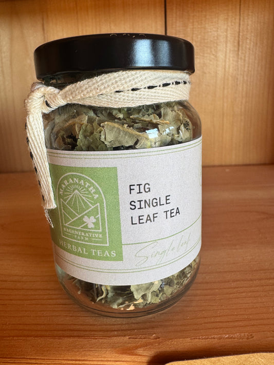 Single Leaf Fig Tea-4 oz