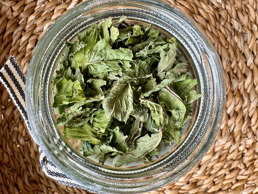 Mojito Mint Single Leaf Tea