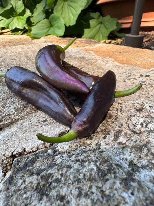 Patchwork Peppers