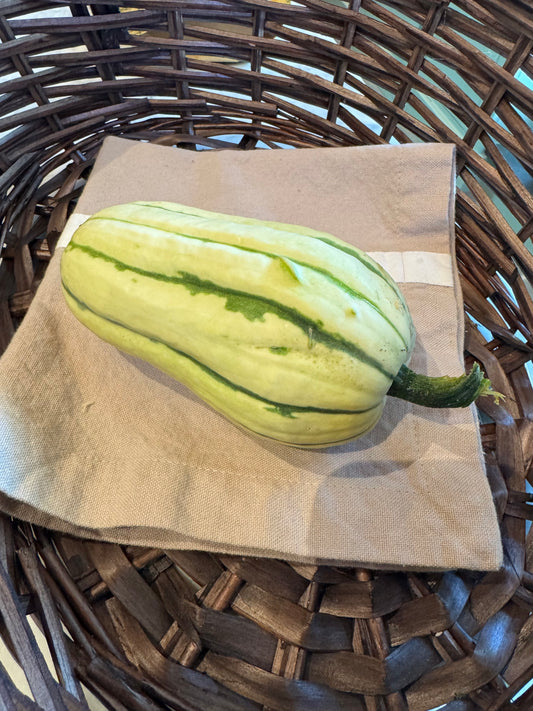Summer Delicata Squash