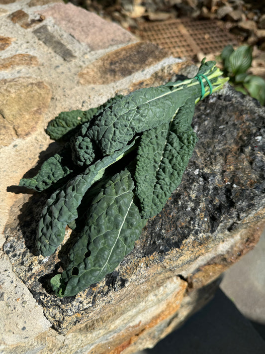 Black Lacinato Kale-Mamba