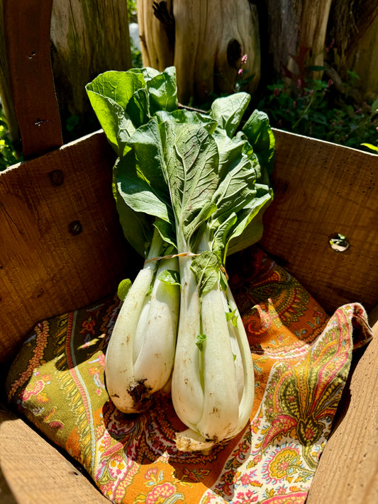 Baby Bok Choy