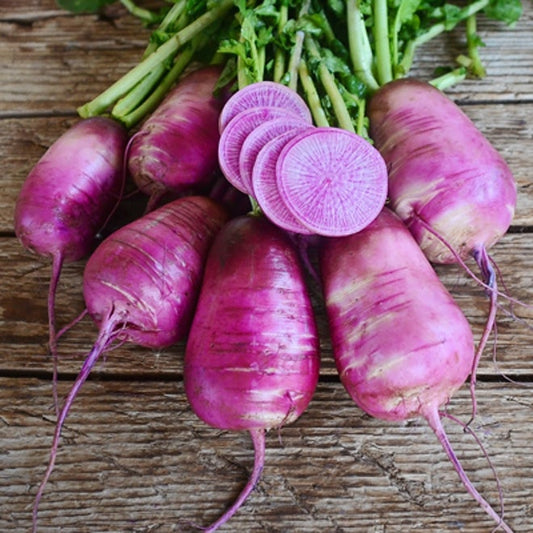 Purple Radish