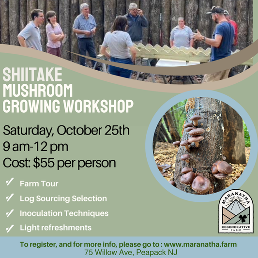 Shiitake Mushroom Growing Workshop
