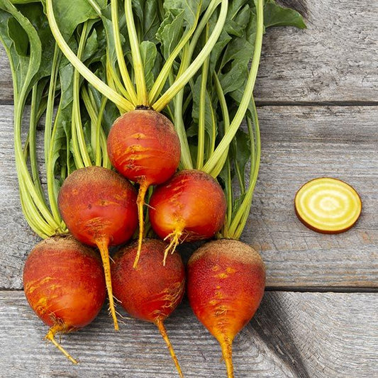 Touchstone Gold Beets