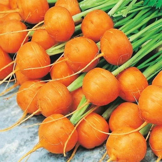 Round Carrots