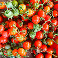 Cherry Tomatoes