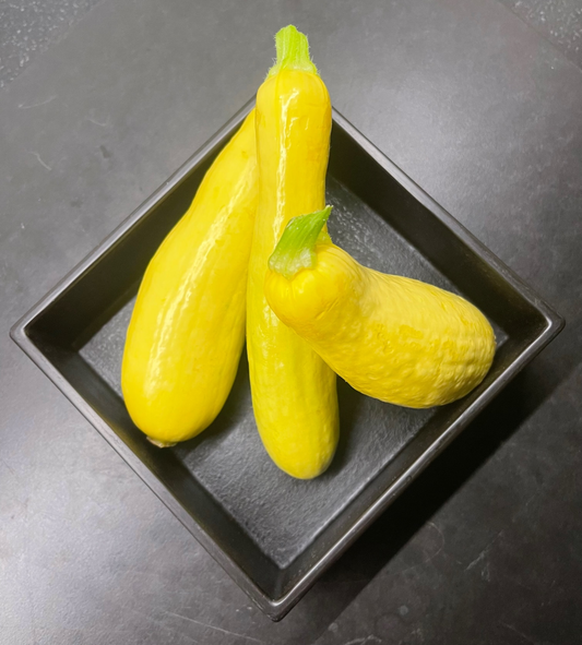 Yellow Squash