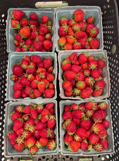 Strawberries