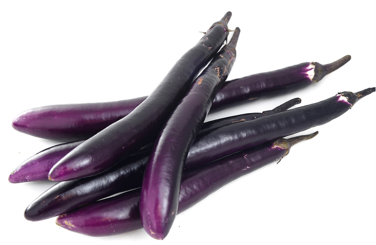 Eggplant - Orient Express PLANT