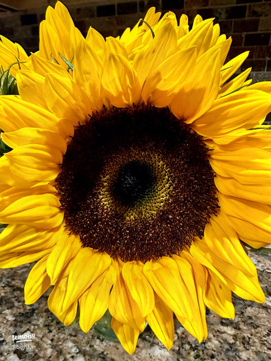 Sunflowers-Market