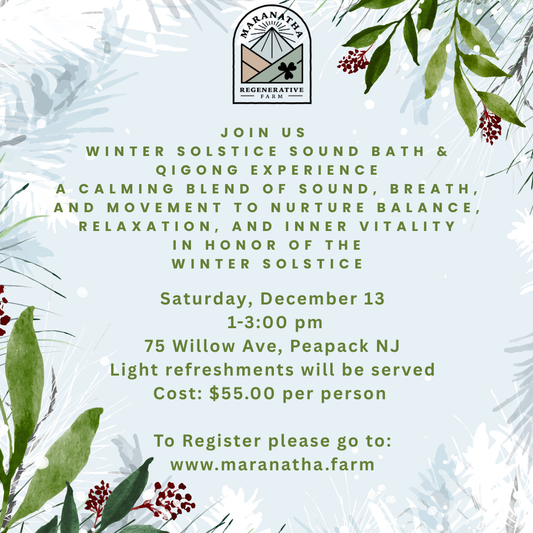 Winter Solstice Sound Bath, and QiGong Experience