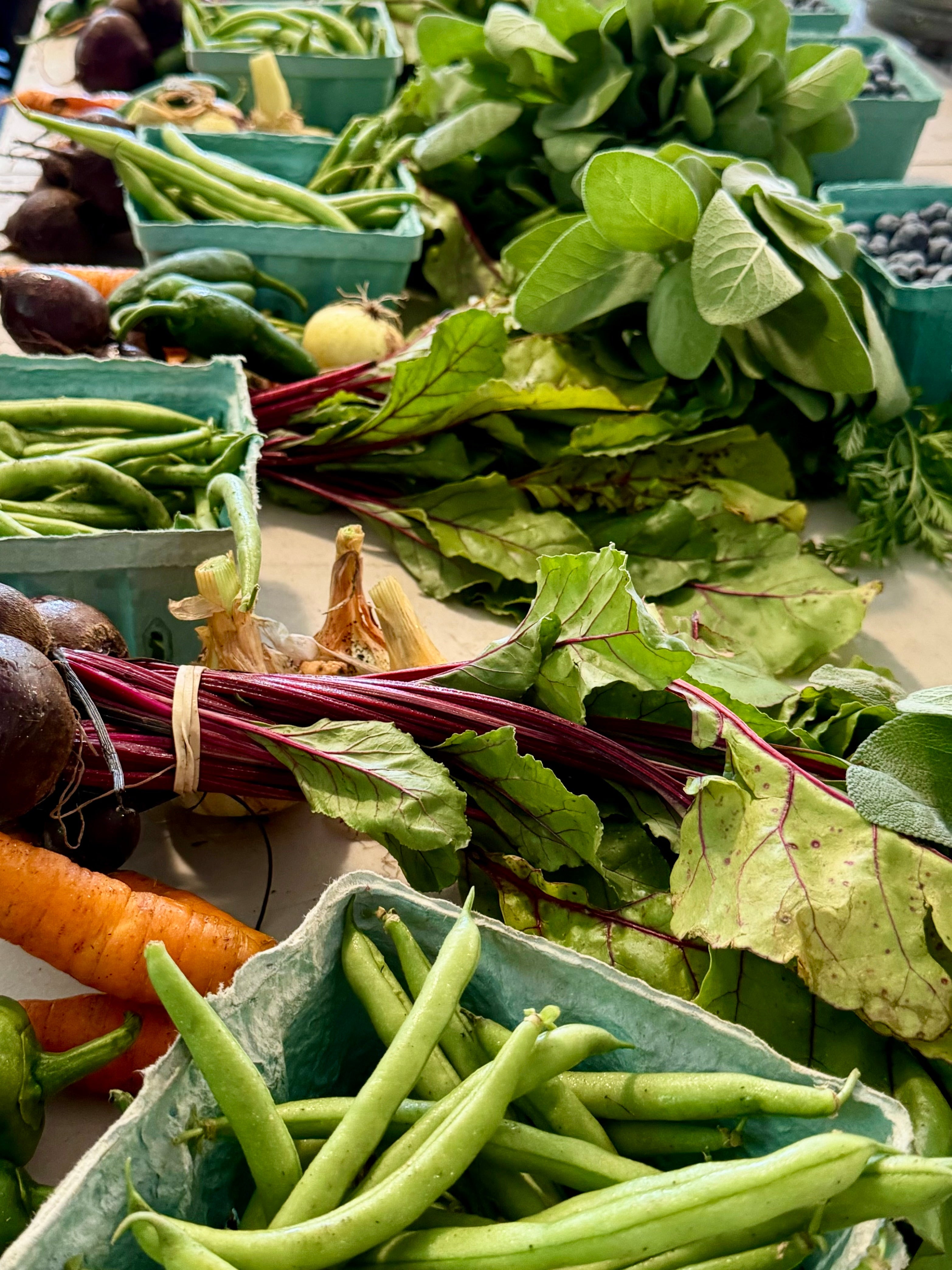 Fresh vegetables gathered for a CSA pickup