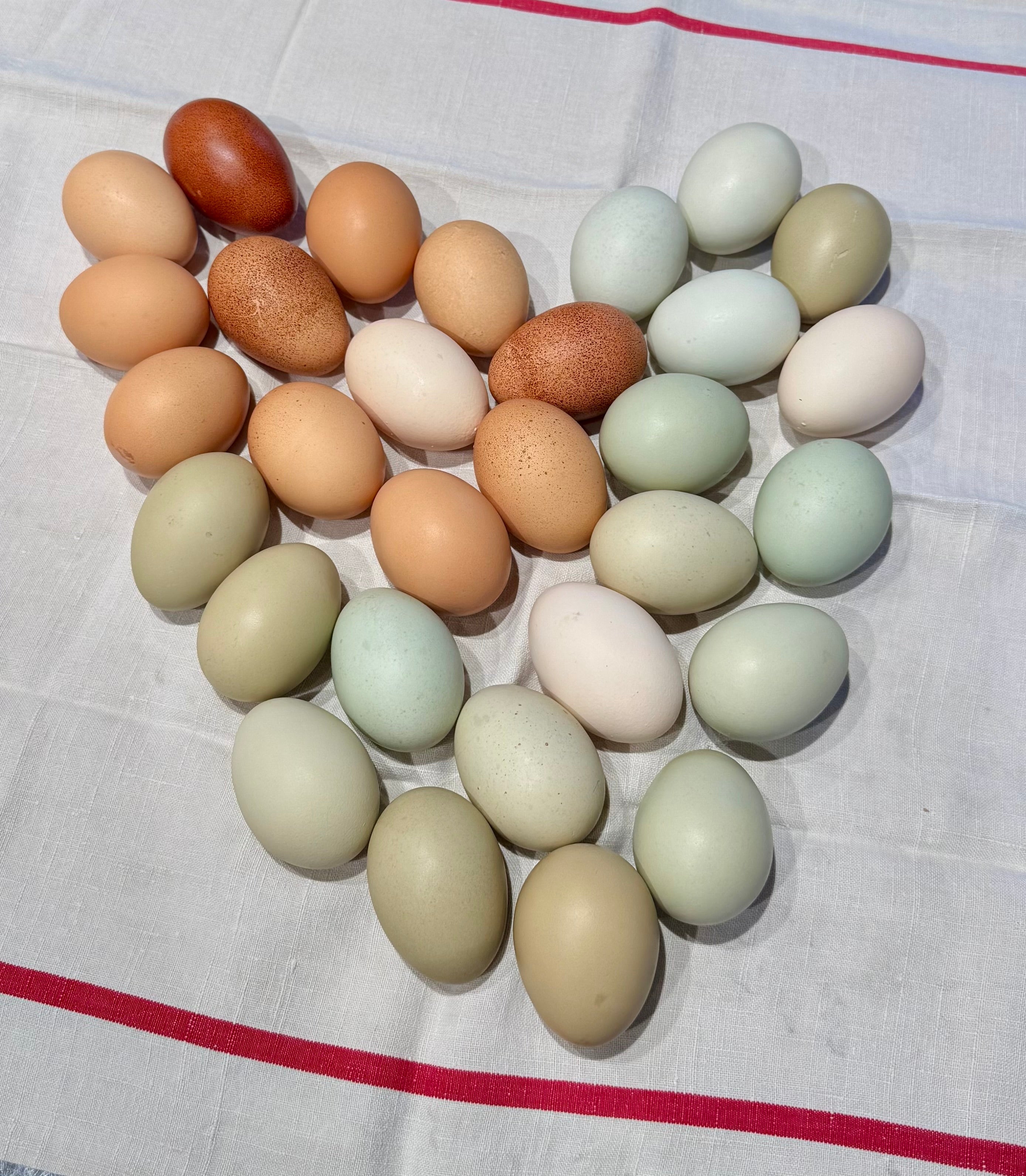 Pastured eggs from Maranatha Farm arranged in a heart